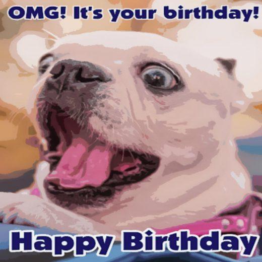 OGM! It’s your birthday! Funny birthday Card