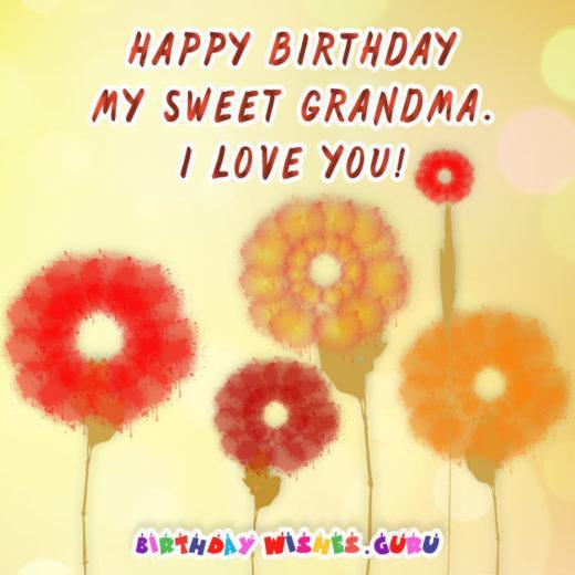 Happy birthday my sweet grandma. I love you!